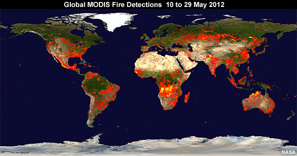 MODIS Rapid Response System Global Fire Map