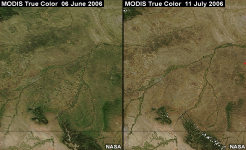 MODIS true color images, one from 06 June 2006, one from 11 July 2006