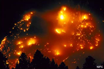 Photograph of Moran Fire


[Marianne did the graphic]

