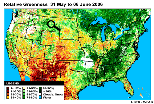 Relative Greenness Product from 31 May - 06 June 2006