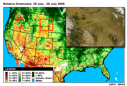 Relative Greenness Product (compared against average conditions) for 20 to 26 July 2005 with true-color MODIS image overlay.