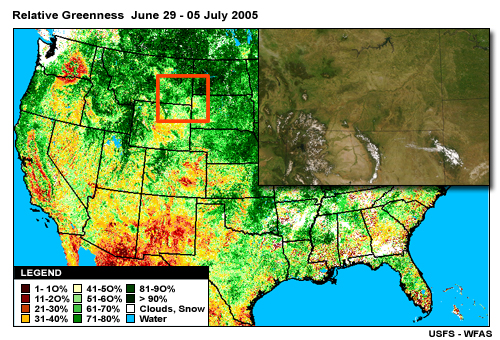 Relative Greeness Product (compared against average conditions) for 29 June to 5 July 2005 with true-color MODIS image overlay.