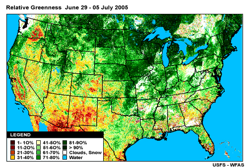 Relative Greeness Product: 29 June 2005 to July 05 2005