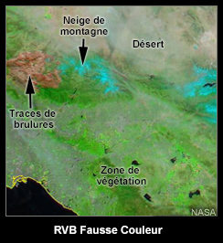 Exemple d'une RVB fausse couleur