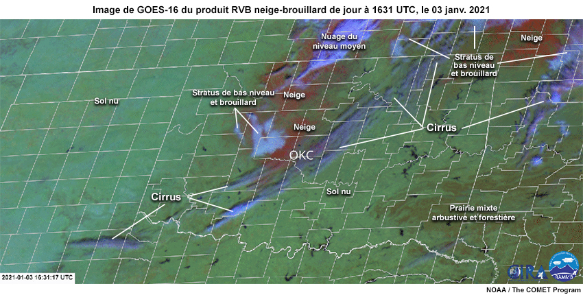 Image de GOES-16 du produit RVB neige-brouillard à 1631 UTC, le 03 janvier 2021