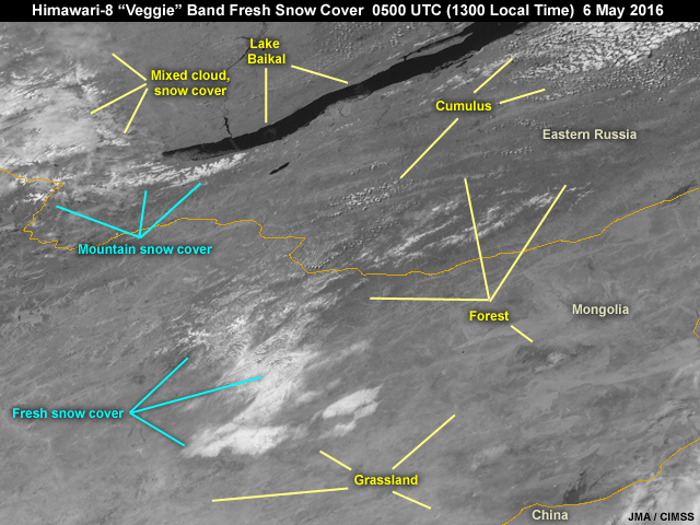 Veggie Near-IR Band