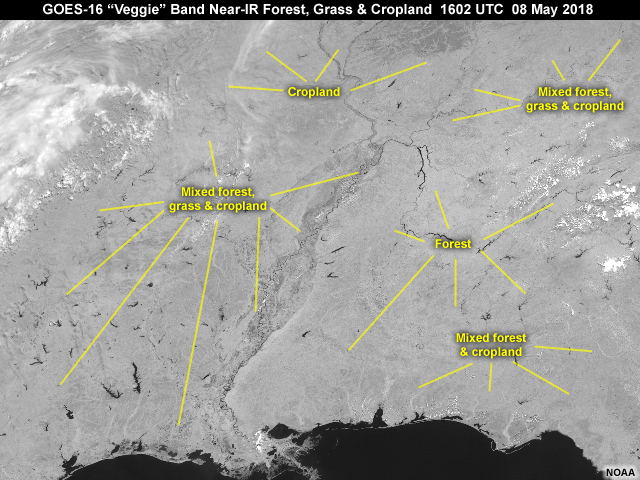 Veggie Near-IR Band