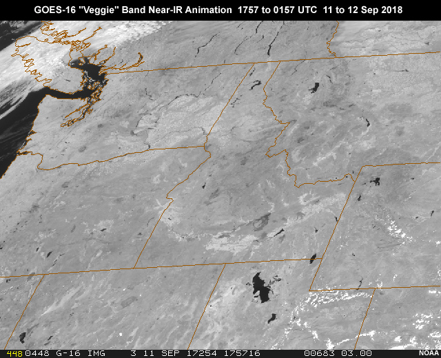 GOES-16 ABI 0.86 micrometer "veggie" band 3 near-infrared image animation showing smoke from wildfires over Pacific Northwest during daylight hours from 17:57 to 01:57 UTC on Sep 11, 2018