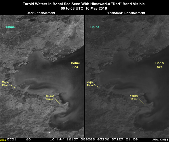 Turbid water due to river runoff seen with Himawari-8 AHI 0.64 micrometer "red" band imagery in the Bohai Sea off the coast of eastern China on May 16, 2016