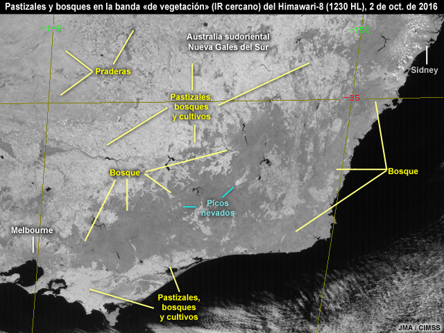 Banda visible «azul»