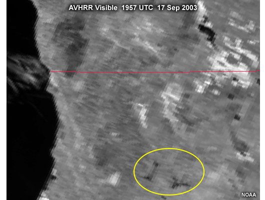 AVHRR visible image over the United States Pacific Northwest  highlighting the degraded resolution seen near the edge-of-scan; taken at 1957 UTC on September 17, 2003.