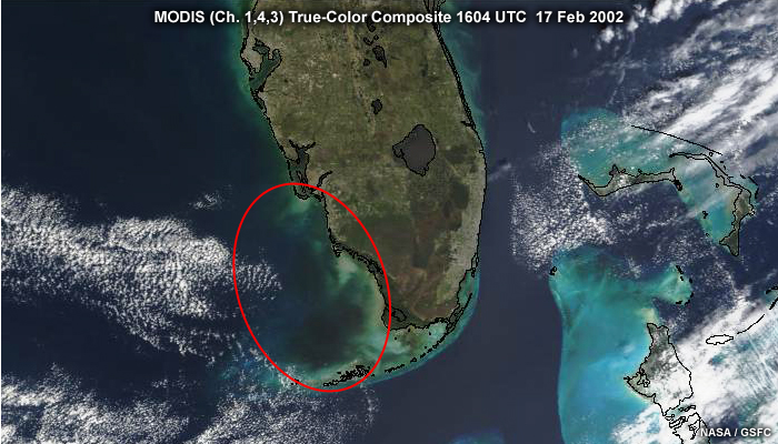 MODIS true-color composite image over southern Florida and coastal regions highlighting water conditions during an algal bloom event, taken at 1604 UTC on February 17, 2002.