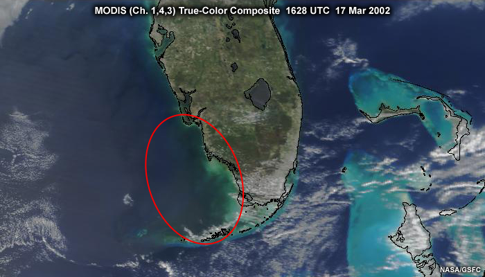 MODIS true-color composite image over southern Florida and coastal regions showing water returning to more normal conditions after an algal bloom event, taken at 1628 UTC on March 17, 2002.