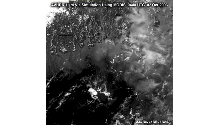 Simulated AVHRR visible using MODIS 1 km image of the Bangladesh coastline taken at 0440 UTC on October 2, 2003.