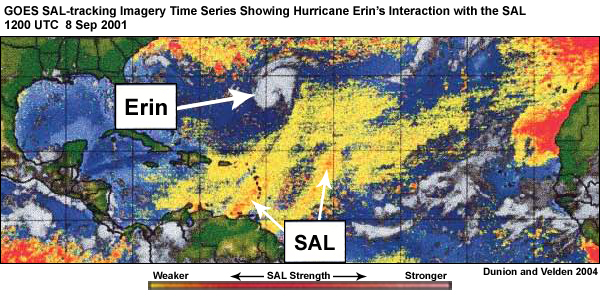 Hurricane Erin's interaction with SAL