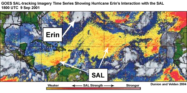 Hurricane Erin's interaction with SAL