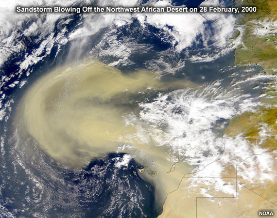 Sandstorm blowing off the northwest African desert 28 February 2000