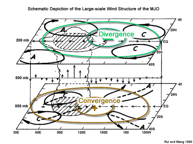 Conceptual diagram of Madden-Julian Oscillation (MJO) with lower level winds, upper level winds, idealized velocity potential lines and convergence/divergence couplet annotated.