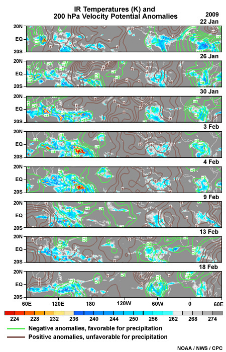 Part of an MJO cycle indicated by cloud top IR temperatures and velocity potential anomalies at 200 hPa.