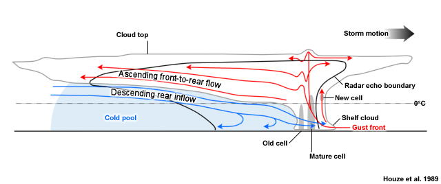 Conceptual model of a squall line with a trailing stratiform area viewed in a vertical cross section oriented perpendicular to the convective line (parallel to its motion). All flows are system relative.