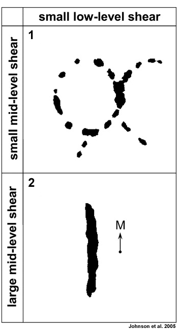 Shear-based organizational diagram for non-squall tropical clusters showing radar reflectivity pattern.