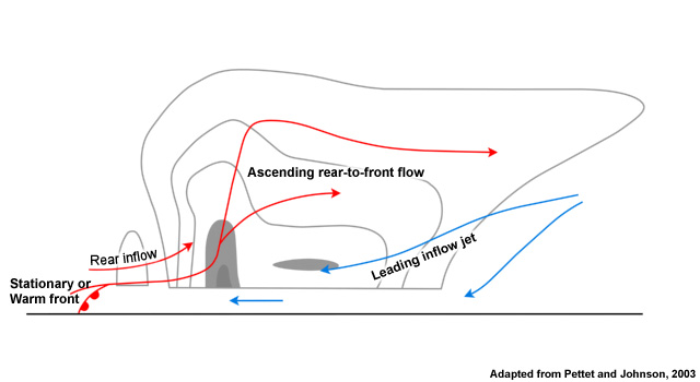 Cross section of a leading stratiform MCS with strong environmental flow. Red arrows indicate updrafts while blue arrows indicate downdrafts. Reflectivity is shaded in grayscale.