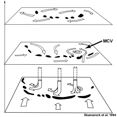 A zoomed in view of Skamarock et al., 1994 conceptual diagram of MCV development when Coriolis force is present.