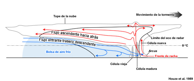 Modelo conceptual de una línea de turbonada con región de lluvia estratiforme a la zaga en un corte transversal perpendicular a la línea de convección (paralelo a su movimiento). Todos los flujos son relativos a la tormenta.