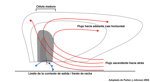 Corte transversal de un SCM con región de lluvia estratiforme a la cabeza con flujo ambiental débil. Las flechas rojas indican las corrientes ascendentes y las azules, las corrientes descendentes. Los tonos de gris corresponden a la reflectividad.