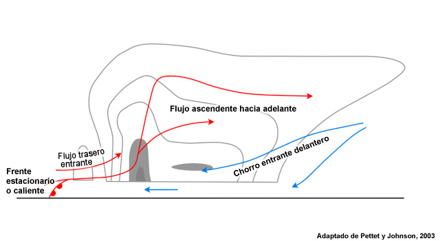 Corte transversal de un SCM con región de lluvia estratiforme a la cabeza con flujo ambiental fuerte. Las flechas rojas indican las corrientes ascendentes y las azules, las corrientes descendentes. Los tonos de gris corresponden a la reflectividad.