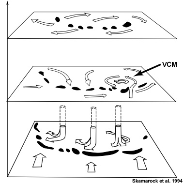 Vista ampliada del diagrama conceptual de Skamarock et al., 1994 que muestra la influencia del efecto de Coriolis en el desarrollo de un vórtice convectivo de mesoescala (VCM).