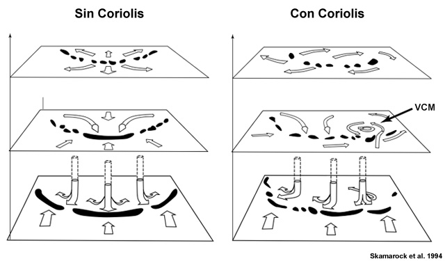 Diagrama conceptual que muestra que a menudo el desarrollo de un vórtice convectivo de mesoescala (VCM) requiere el efecto de Coriolis (Skamarock et al., 1994).