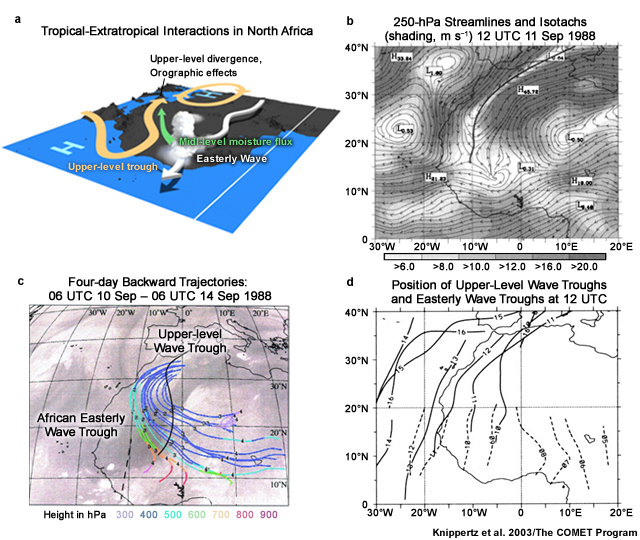 (a) Conceptual model of AEW and midlatitude upper-level trough interactions; (b) 250-hPa streamlines and isotachs on 11 Sep 1988; (c) back trajectories for 10-14 Sep 1988; (d) positions of upper-level wave troughs and easterly wave troughs at 12 UTC
