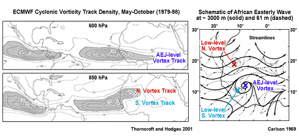 Mean cyclonic vorticity track density showing tracks of AEWs north and south of the AEJ (Right) Streamlines of African Easterly wave showing AEW vortices near 3000 m (700 hPa) and at 61m