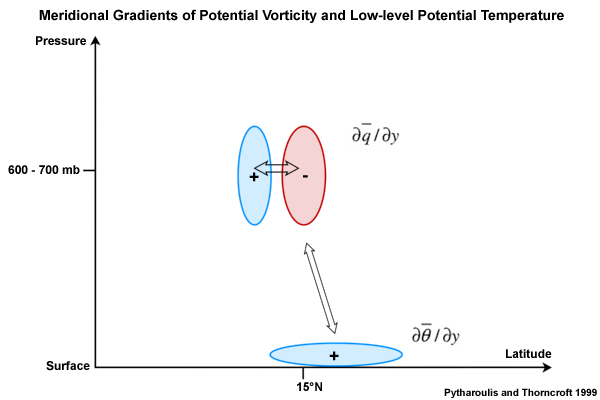 Schematic of the meridional gradients of PV (δq/δy), the low-level meridional gradient of potential temperature (δθ/δy), and their interactions (indicated by the arrows) over North Africa. The plus (+) and minus (-) signs denote positive and negative values, respectively.