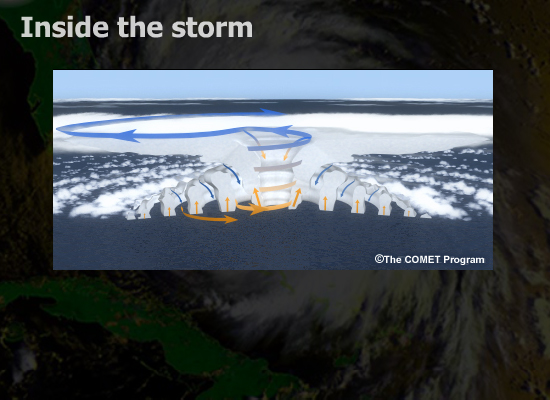 Anatomy of a Storm