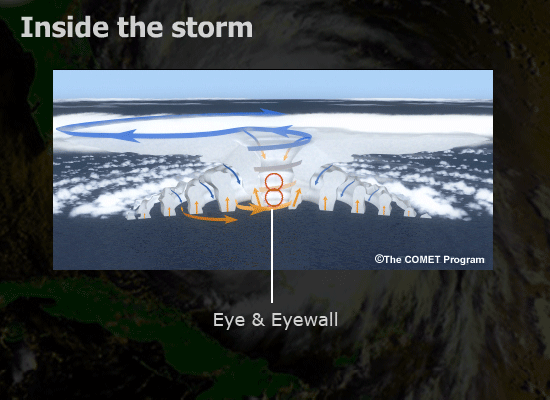 Eye & Eyewall