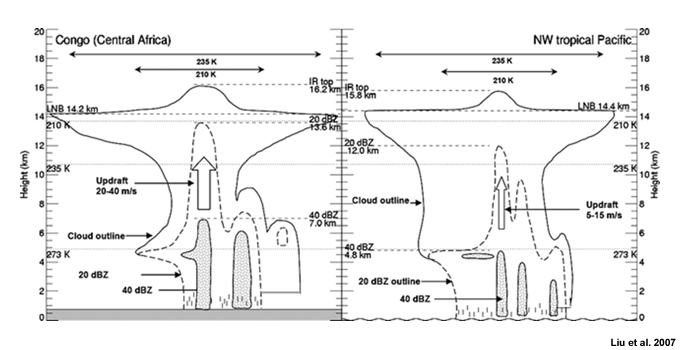 Schematic of the MCS structure based on radar and satellite observations for the Congo, Central Africa (left) and the northwest tropical Pacific Ocean (right)