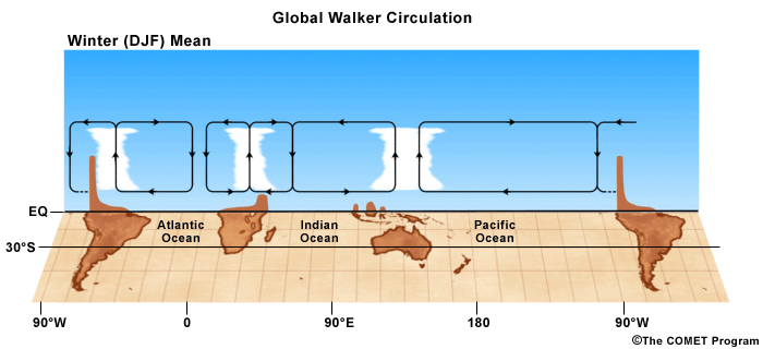 global Walker Circulation for Winter
