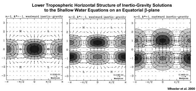 Lower tropospheric horizontal structures of IG solutions to the shallow water equations on an equatorial β-plane