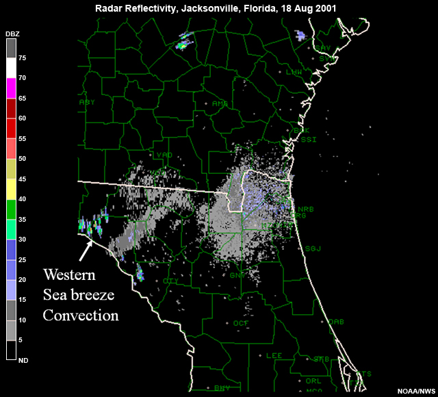 Radar images of sea breezes converging over Florida that produced a weak tornado on 18 Aug 2001
