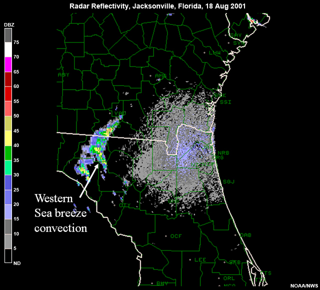Radar reflectivity, Jacksonville, Florida, 18 Aug 2001