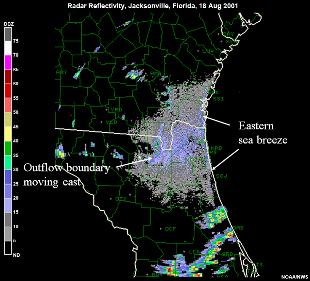 Radar reflectivity, Jacksonville, Florida, 18 Aug 2001