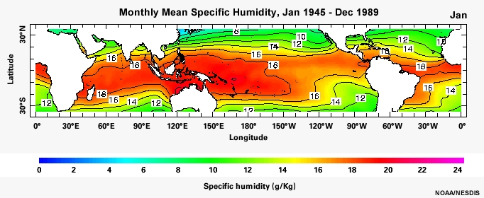 Monthly Mean Specific Humidity, Jan 1945 - Dec 1989