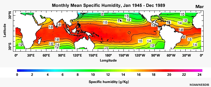 Monthly Mean Specific Humidity, Jan 1945 - Dec 1989