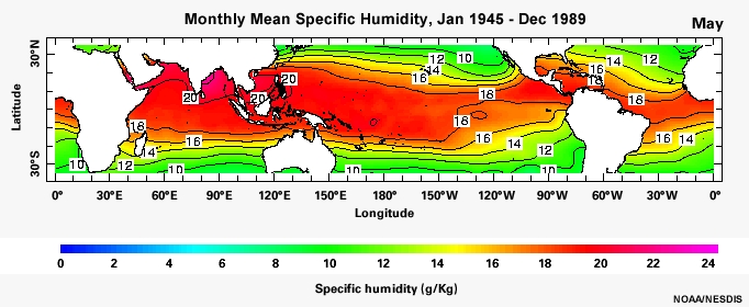 Monthly Mean Specific Humidity, Jan 1945 - Dec 1989
