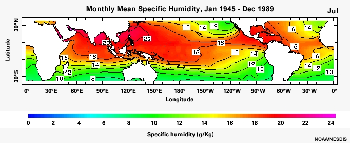 Monthly Mean Specific Humidity, Jan 1945 - Dec 1989