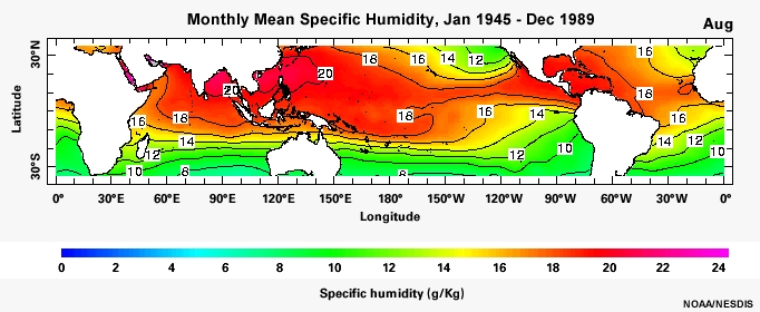 Monthly Mean Specific Humidity, Jan 1945 - Dec 1989