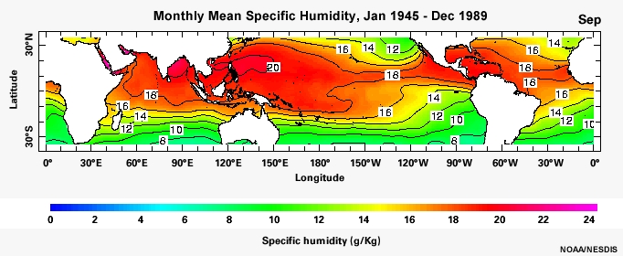 Monthly Mean Specific Humidity, Jan 1945 - Dec 1989
