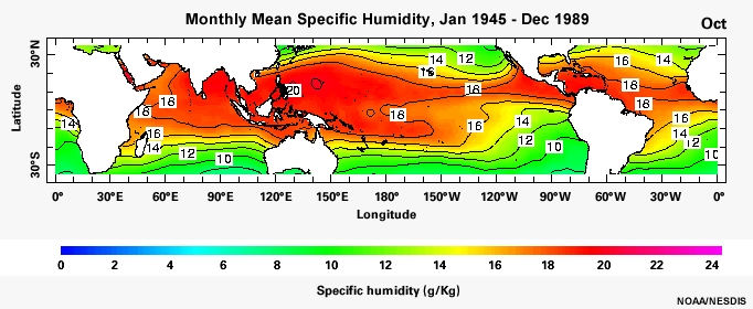 Monthly Mean Specific Humidity, Jan 1945 - Dec 1989